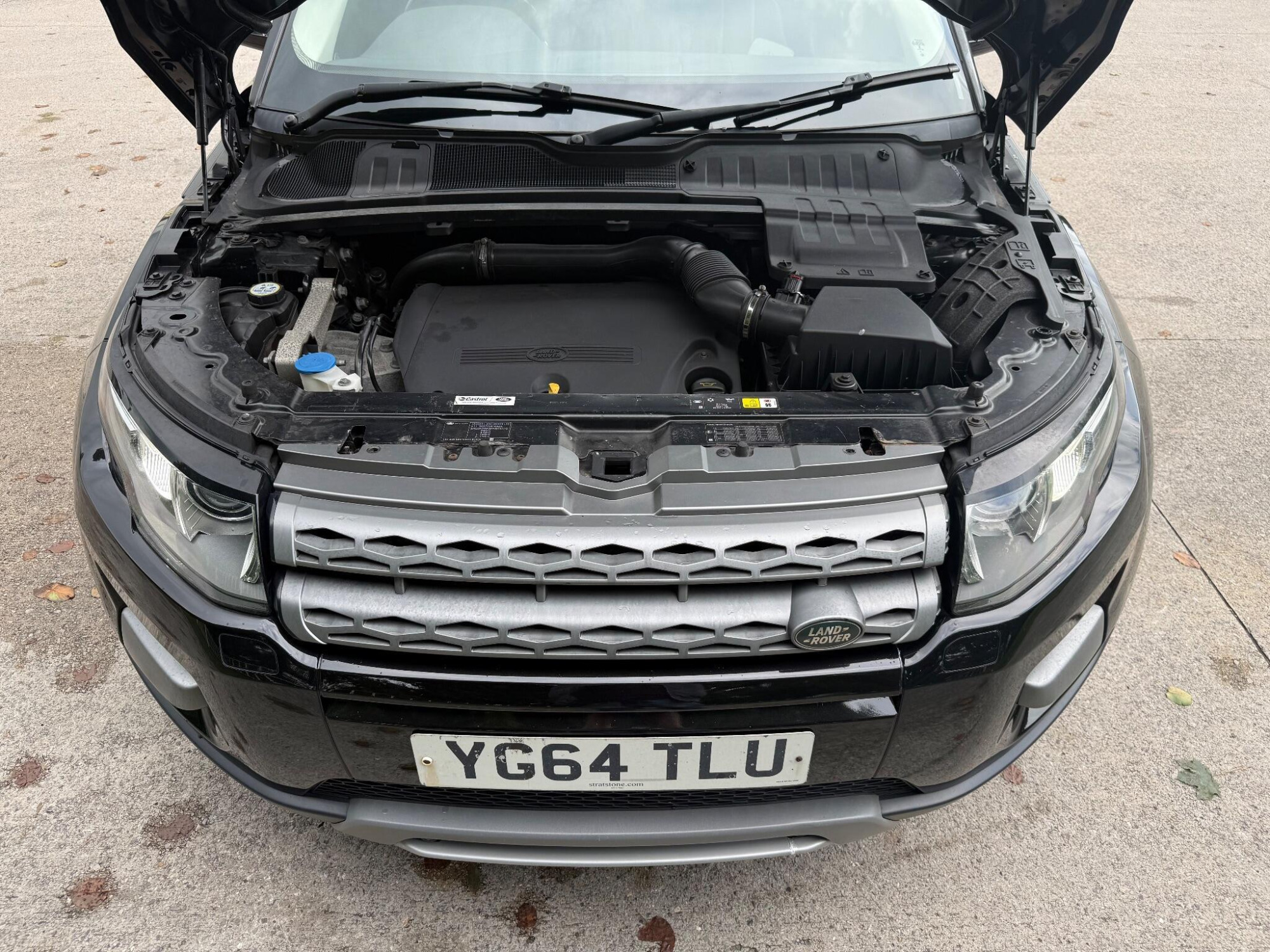 2014 Land Rover Range Rover Evoque image 54