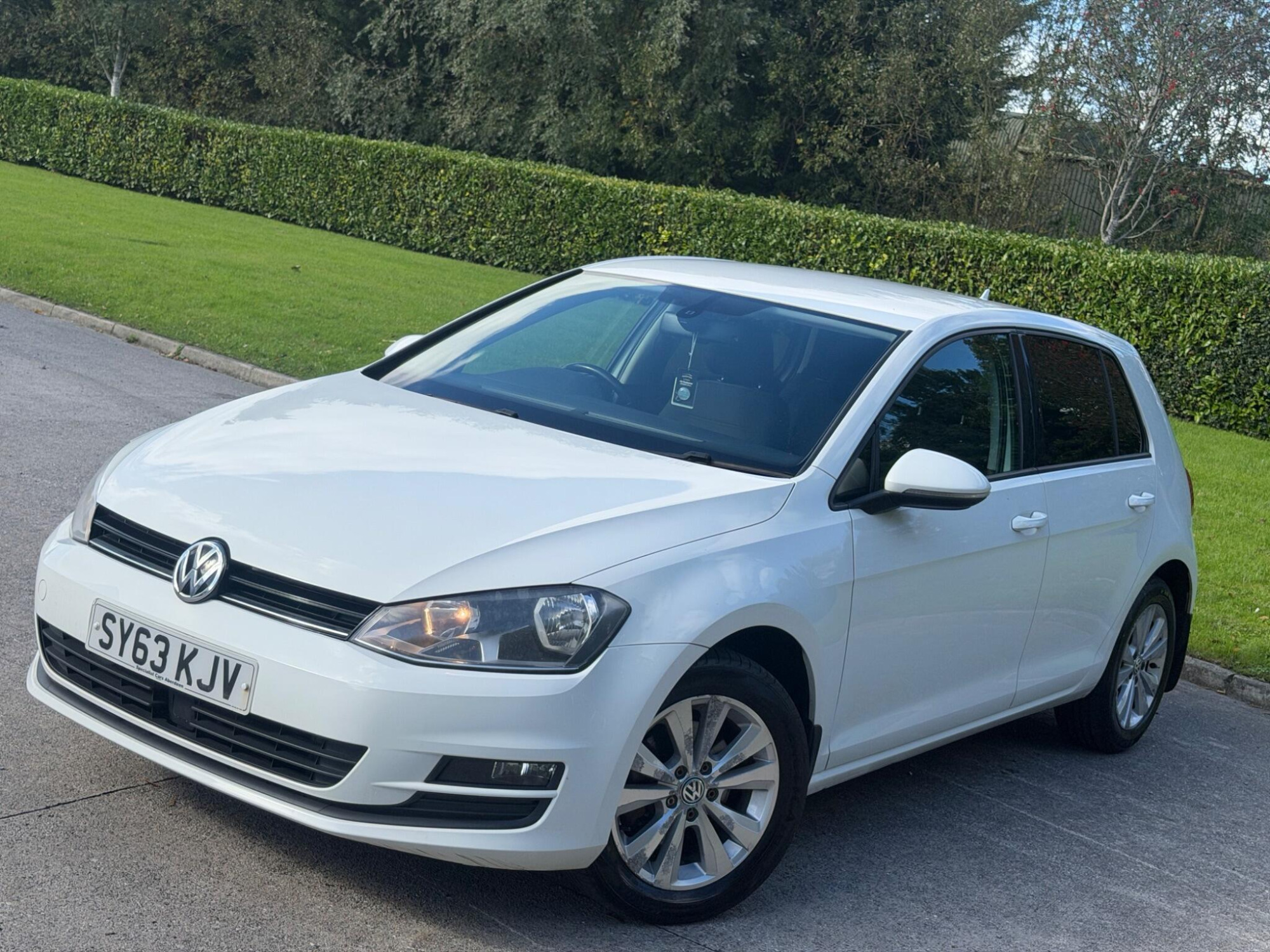 2013 Volkswagen Golf image 2