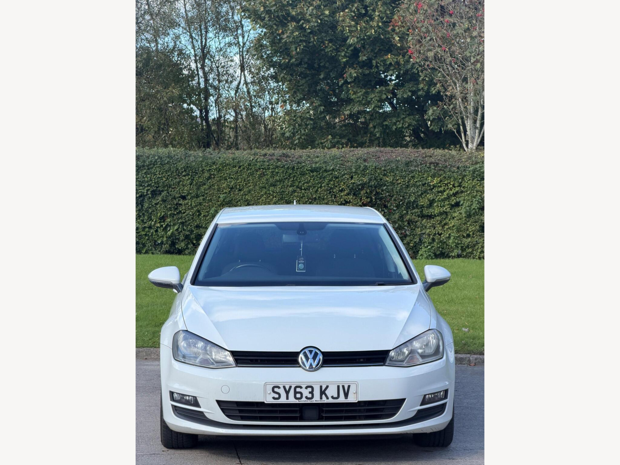 2013 Volkswagen Golf image 1