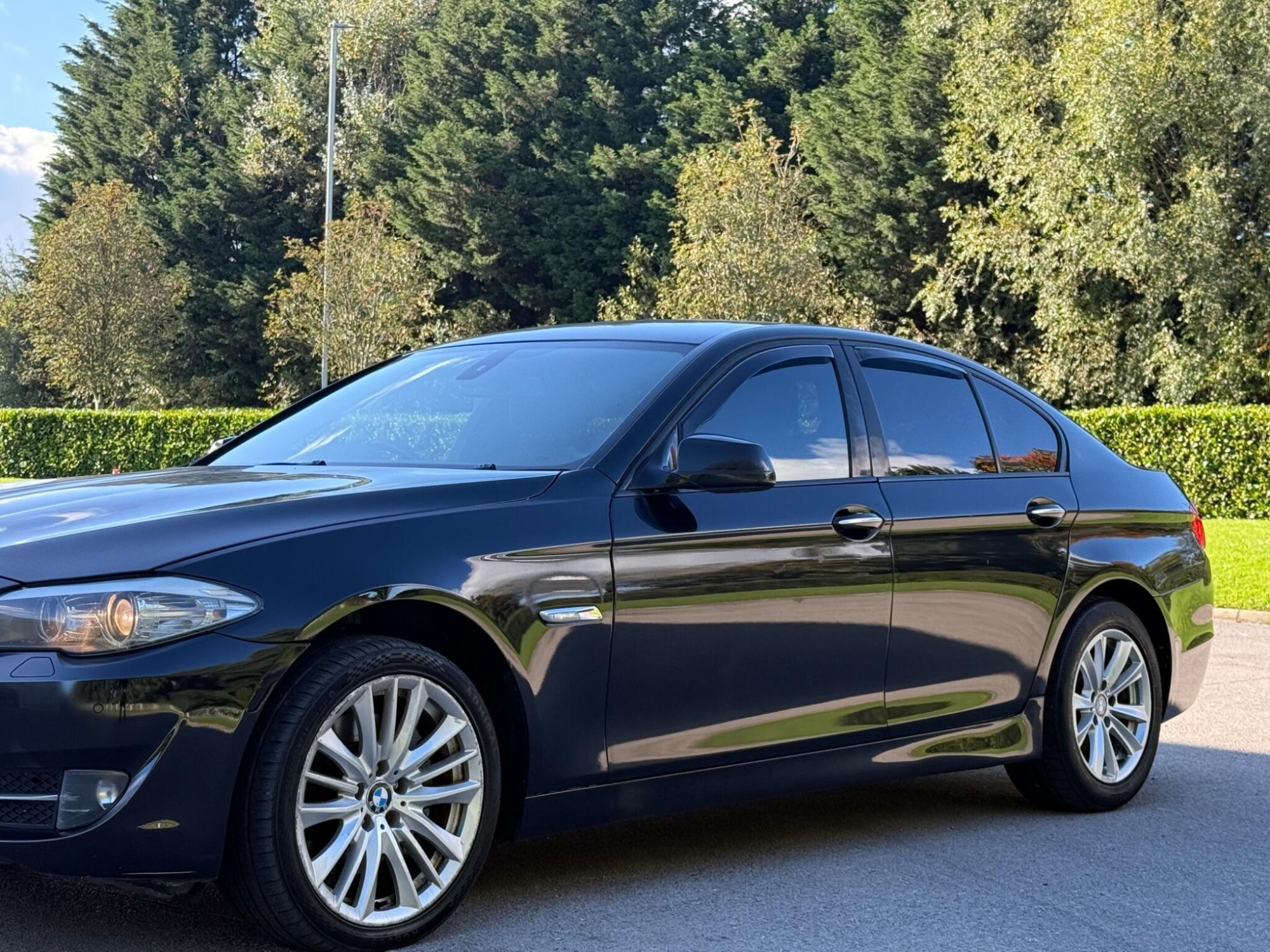 2010 BMW 5 Series image 15