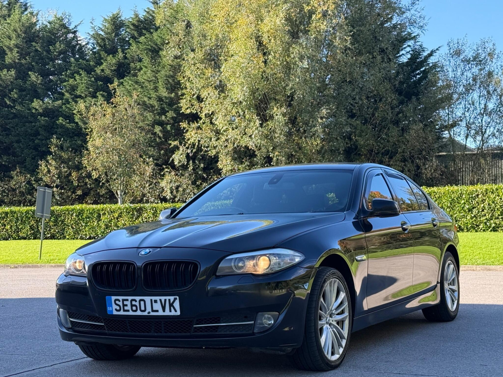 2010 BMW 5 Series image 9