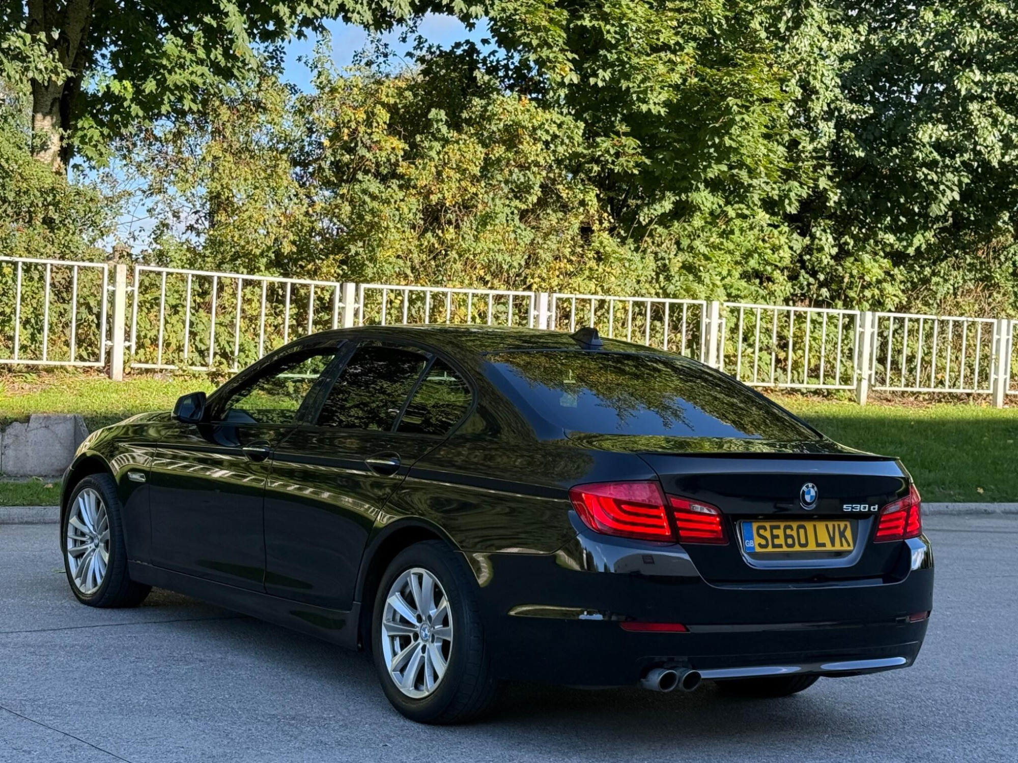 2010 BMW 5 Series image 8