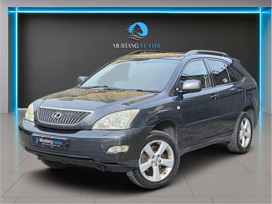2004 Lexus RX photo 10