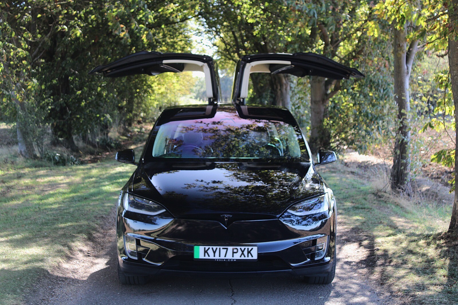 Tesla X
