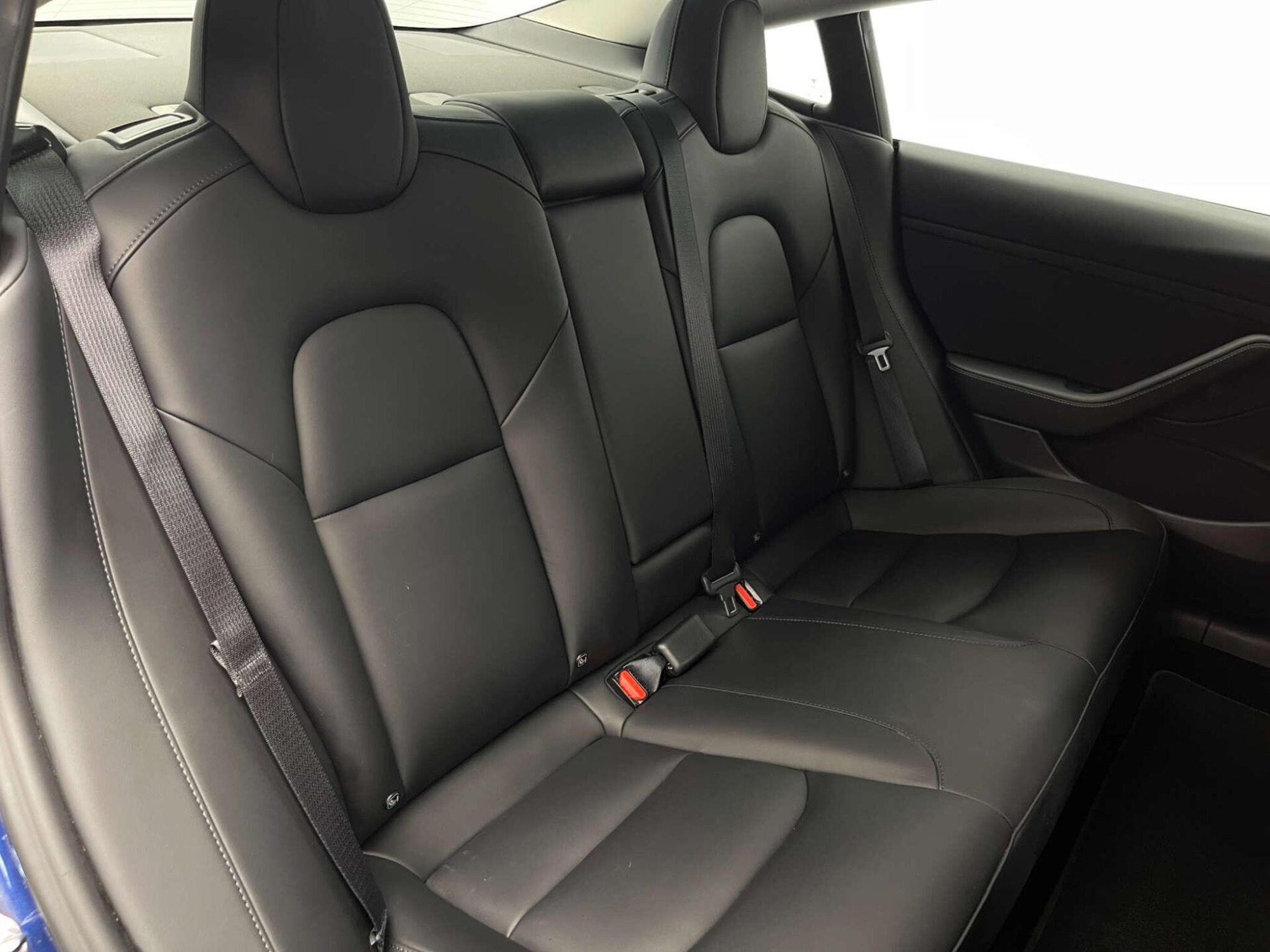 2021 Tesla Model 3 image 24