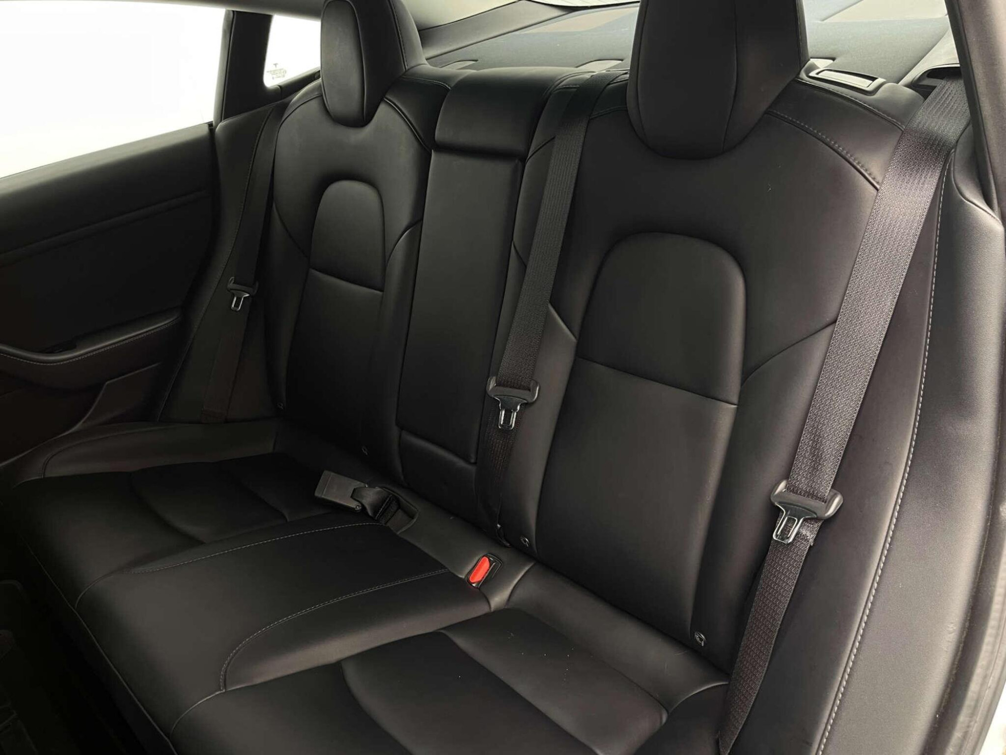 2020 Tesla Model 3 image 40