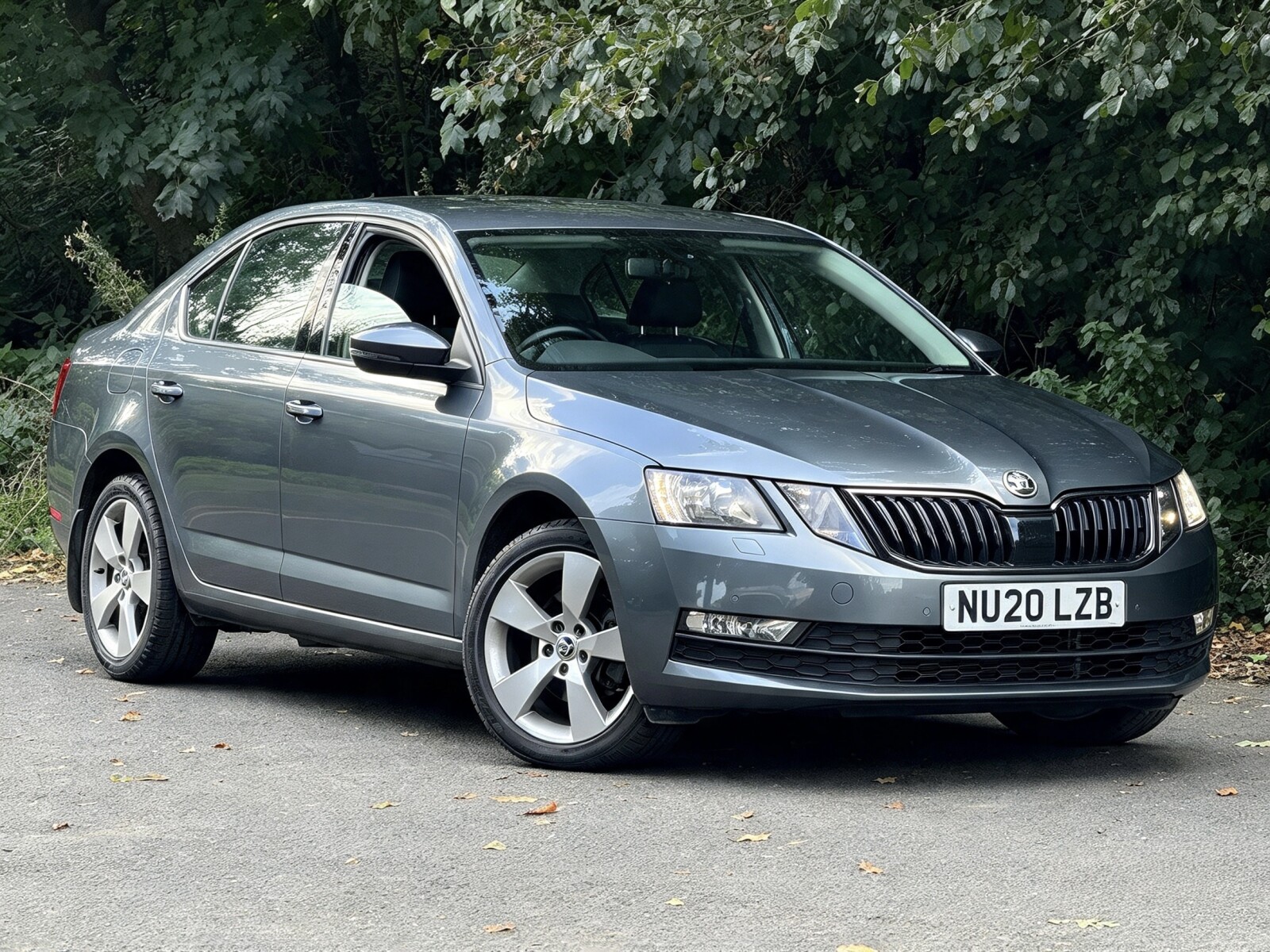 2020 Skoda Octavia image 1