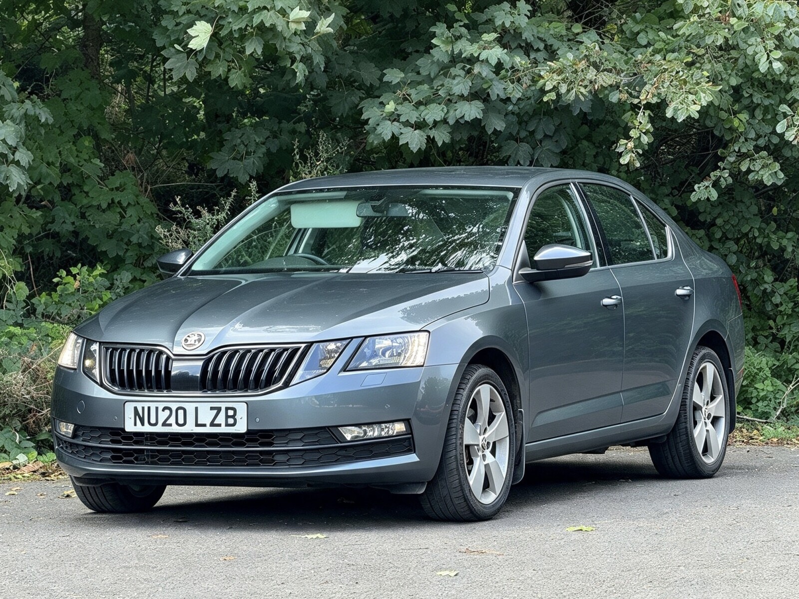 2020 Skoda Octavia image 22