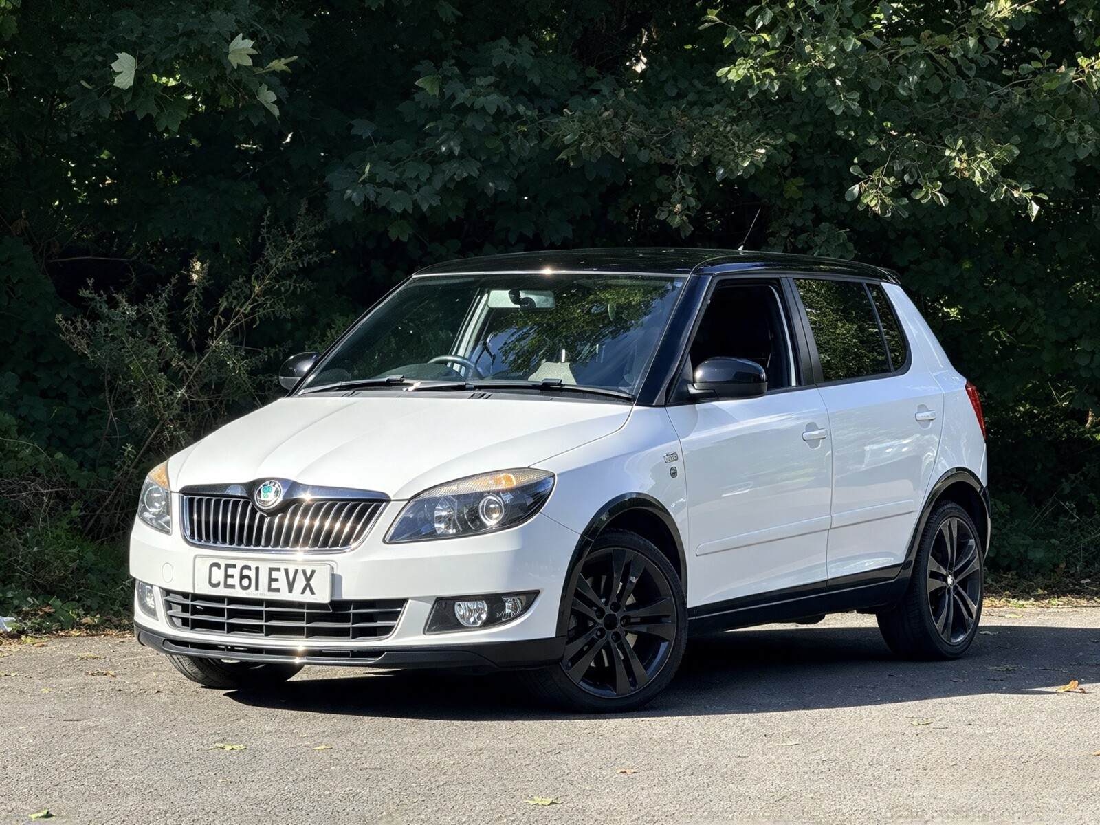 2011 Skoda Fabia image 19