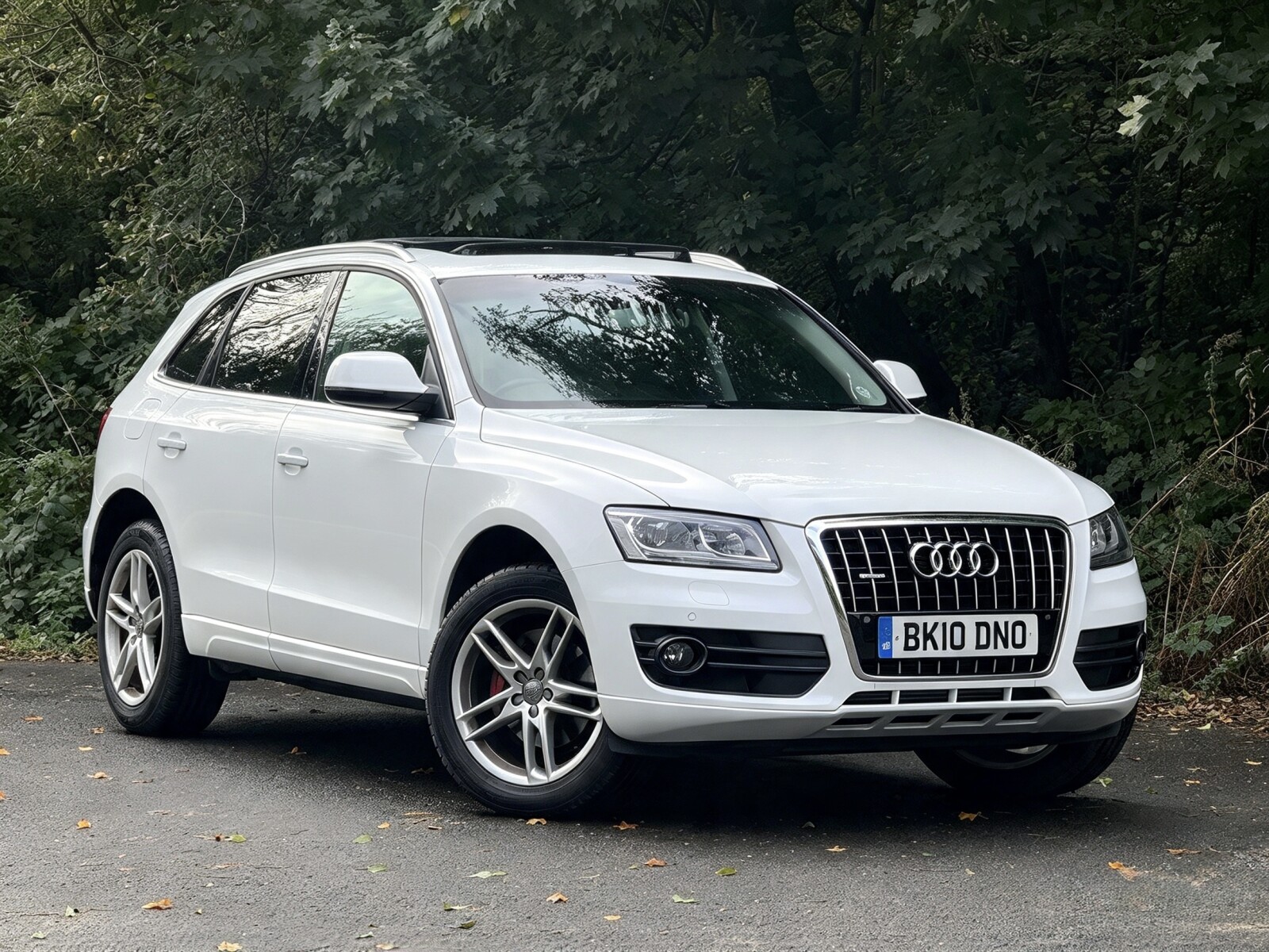 2010 Audi Q5 image 1