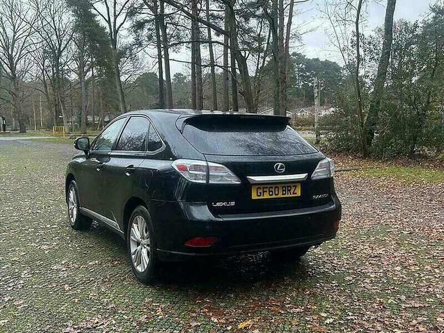 2010 Lexus RX photo 10