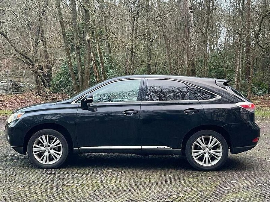 2010 Lexus RX photo 13
