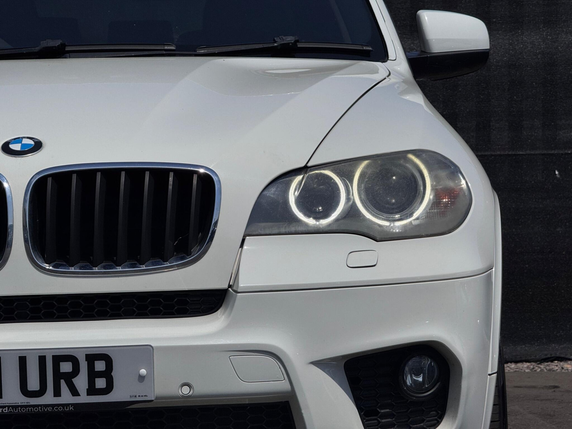 2011 BMW X5 image 8
