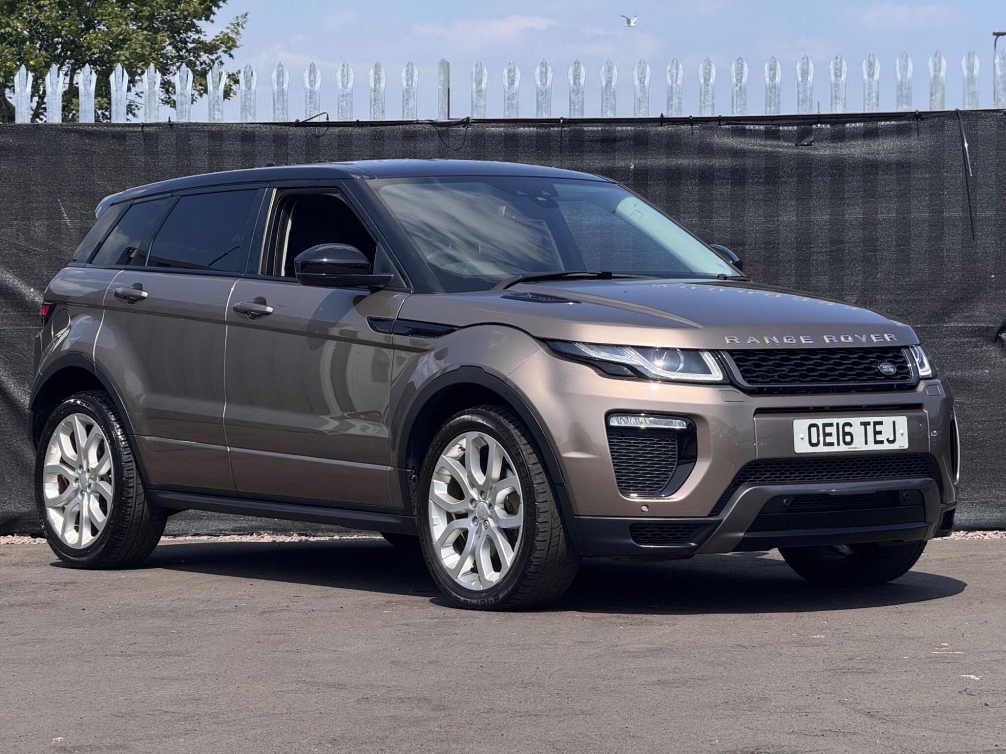 2016 Land Rover Range Rover Evoque image 1