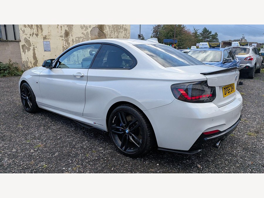 2015 BMW 2 Series photo 11