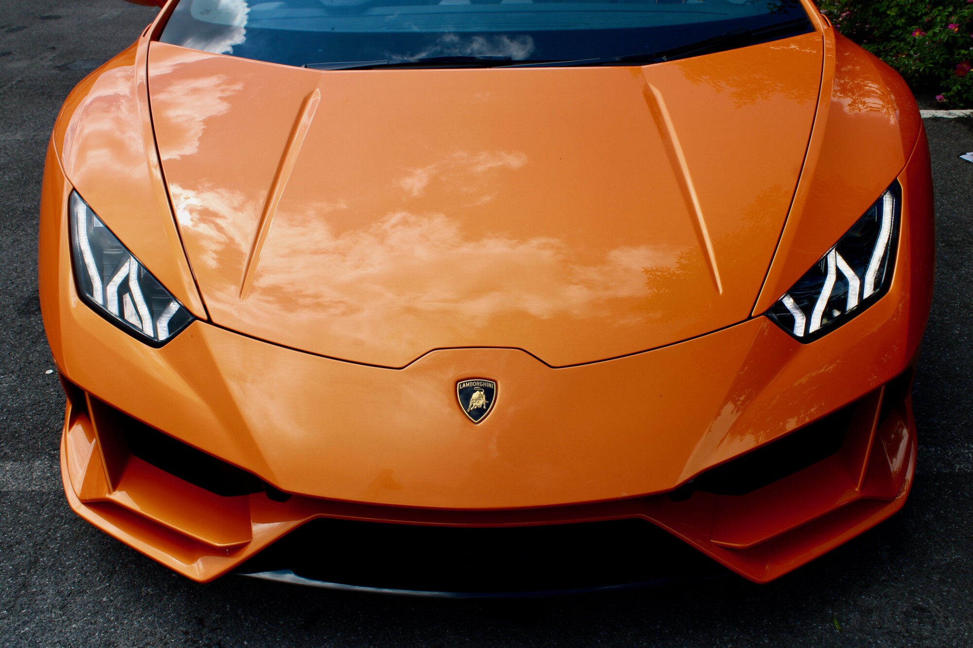 Buy a car card background